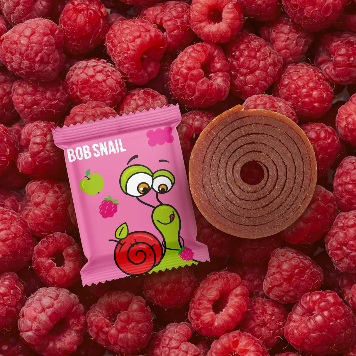 Bob Snail - Fruit Roll Apple-Raspberry (100g)
