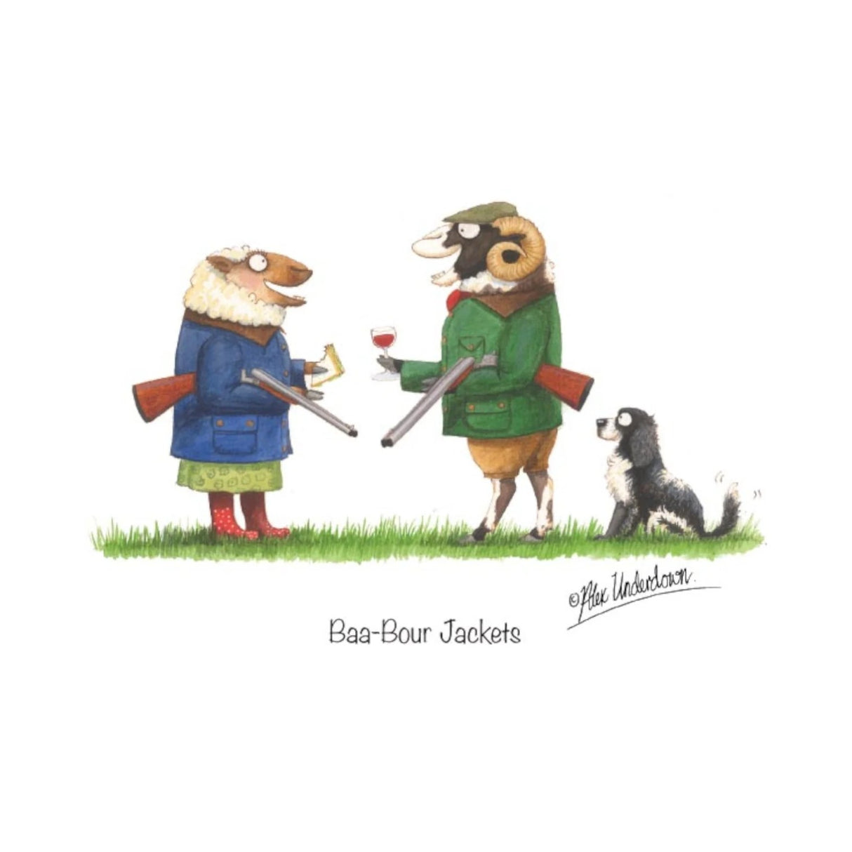 CSP Greetings Cards - Baa-Bour Jackets