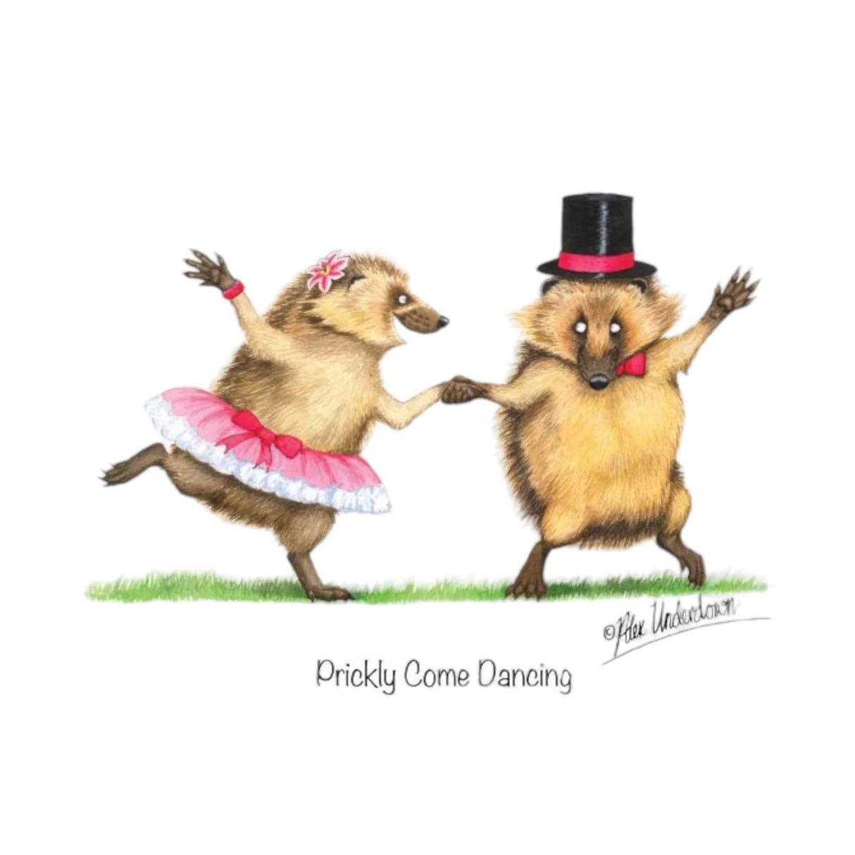 CSP Greetings Cards - Prickly Come Dancing