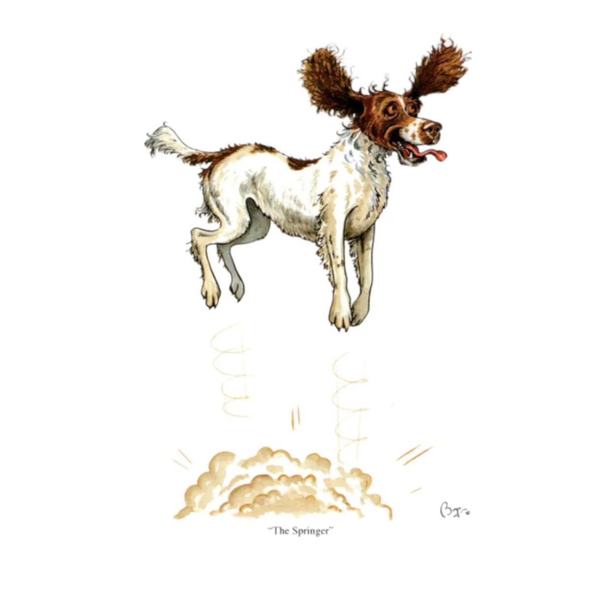 CSP-Greeting Cards-The Springer