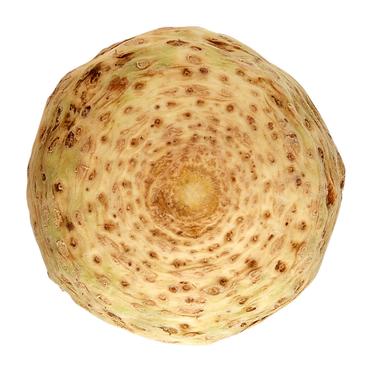 British Celeriac