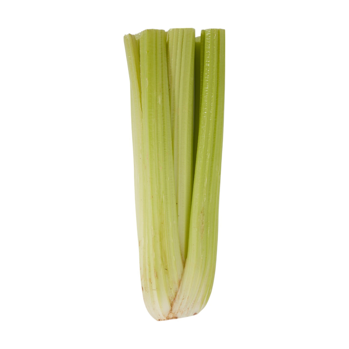 Celery