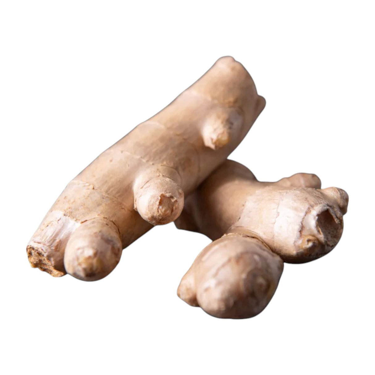 Ginger Fresh