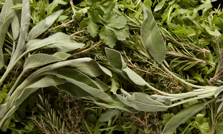 Salad & Herbs