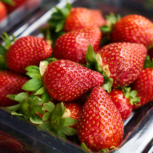 Fruit