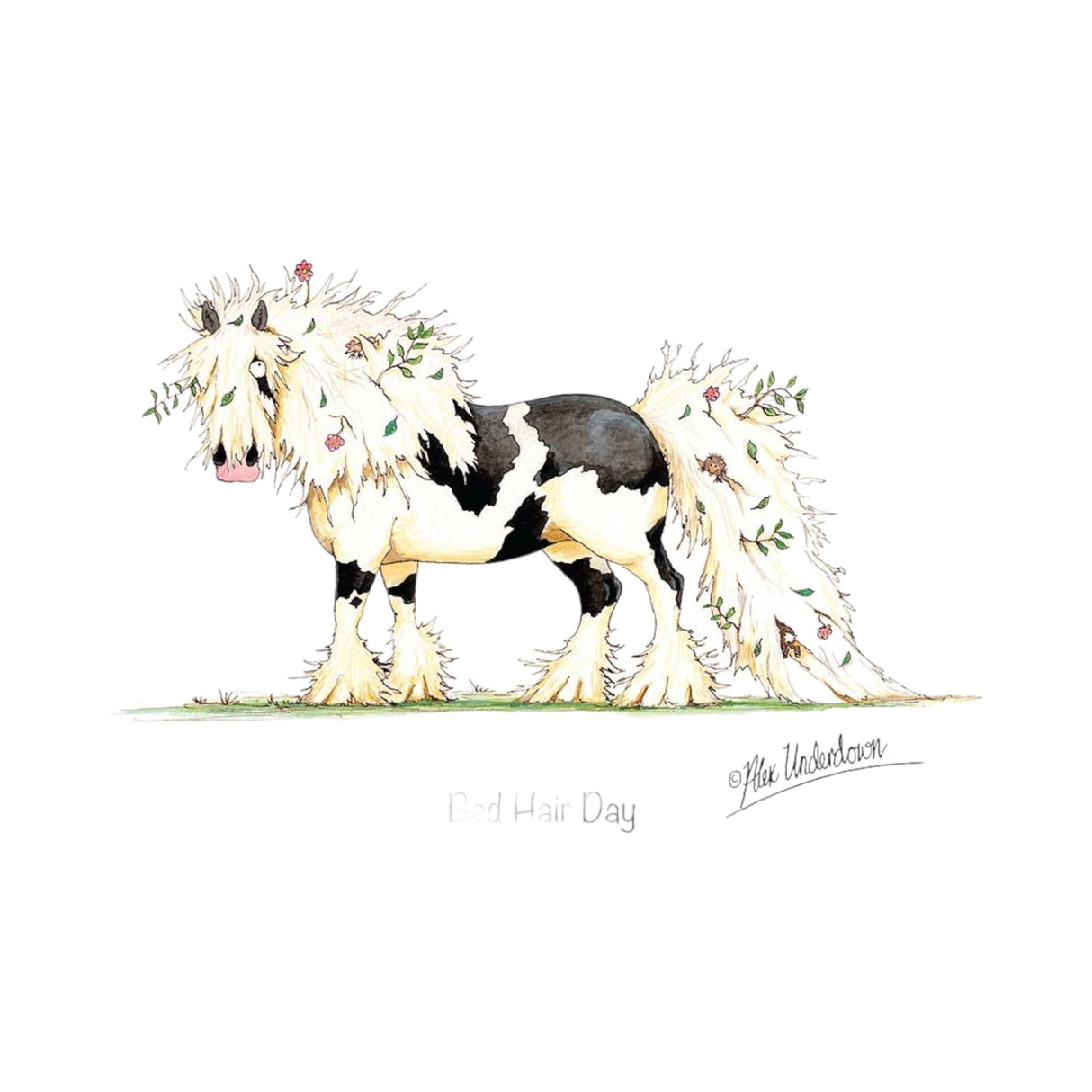 CSP Greetings Cards - Bad Hair Day