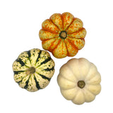Squash - Mixed