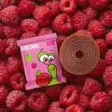 Bob Snail - Fruit Roll Apple-Raspberry (100g)