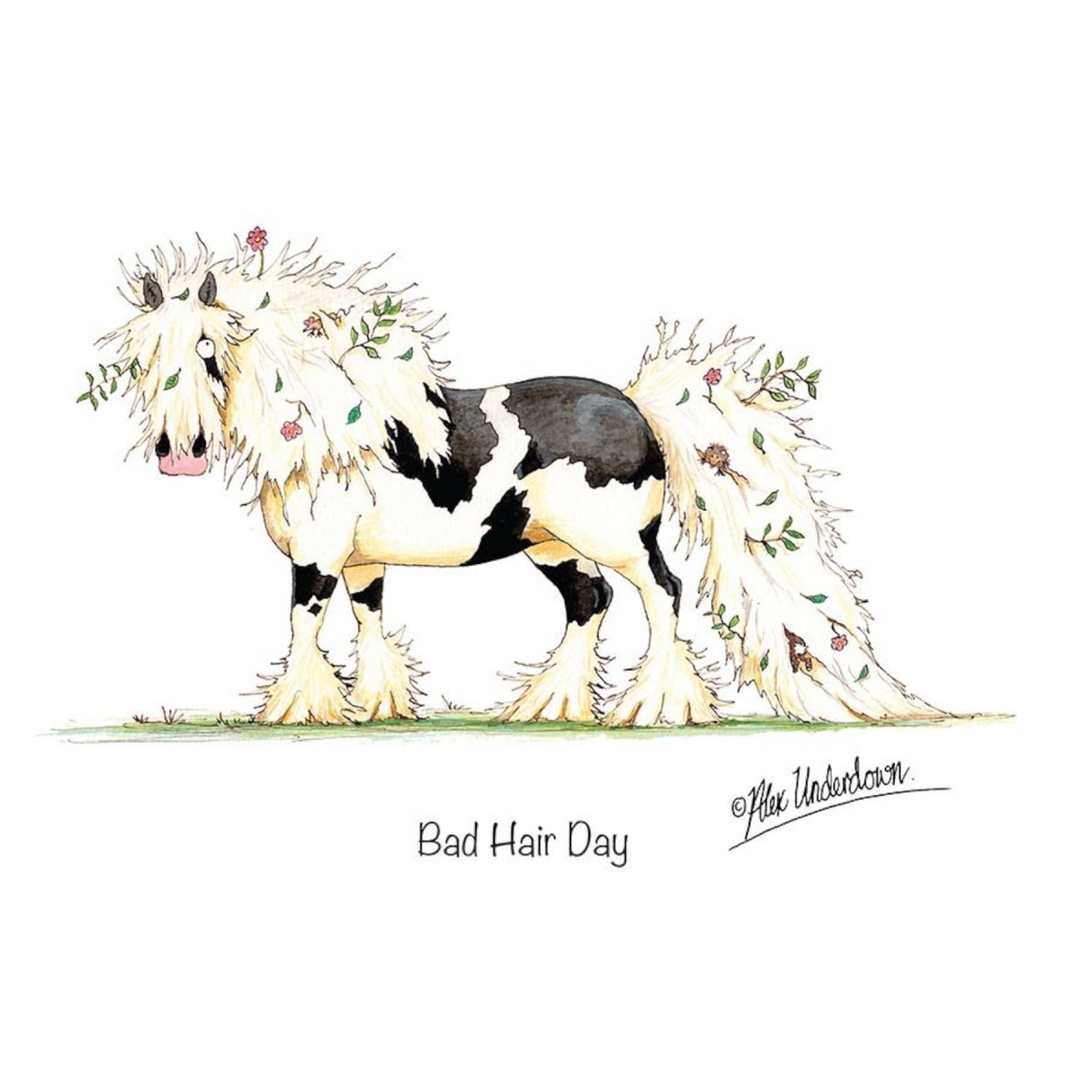 CSP Greetings Cards - Bad Hair Day