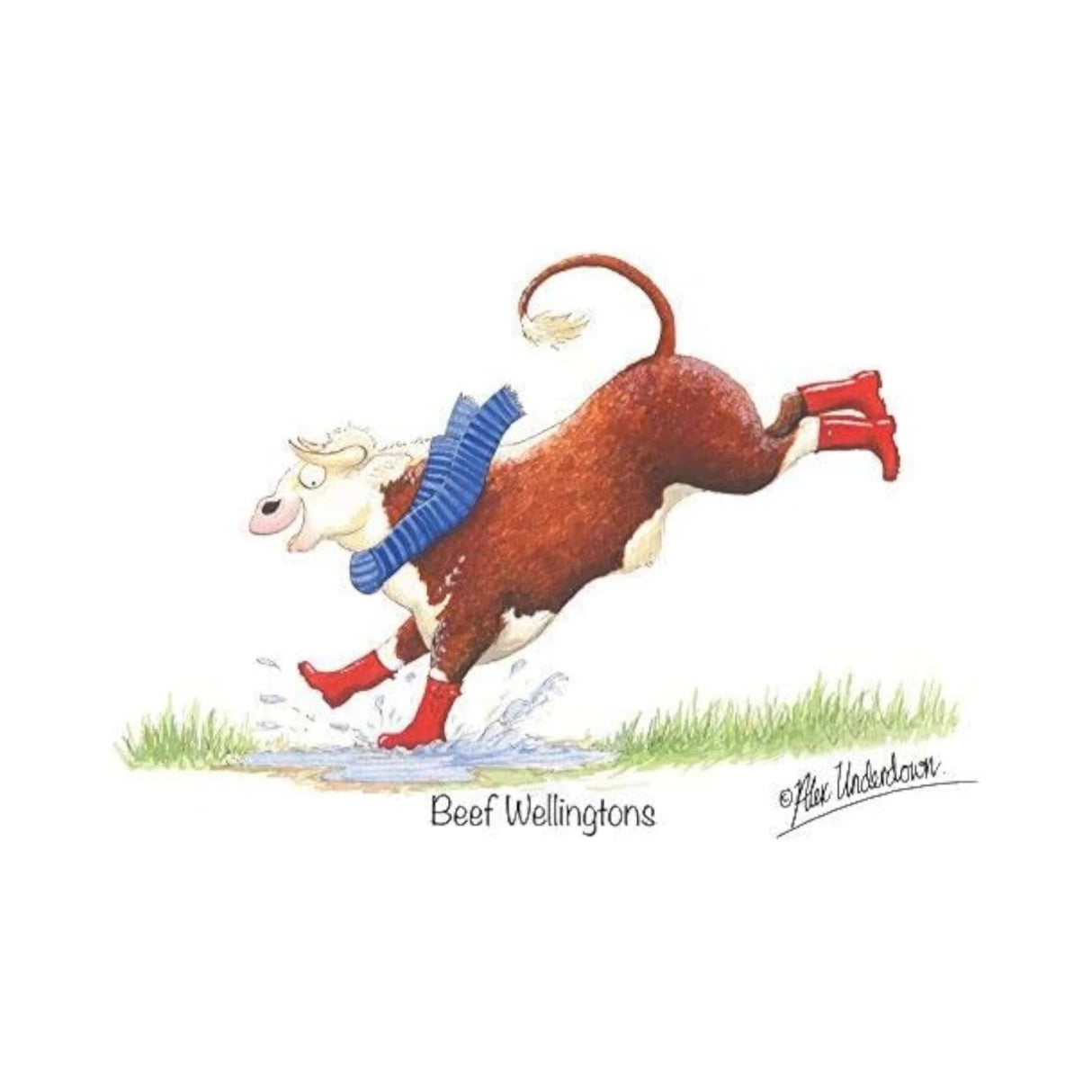 CSP Greetings Cards - Beef Wellingtons