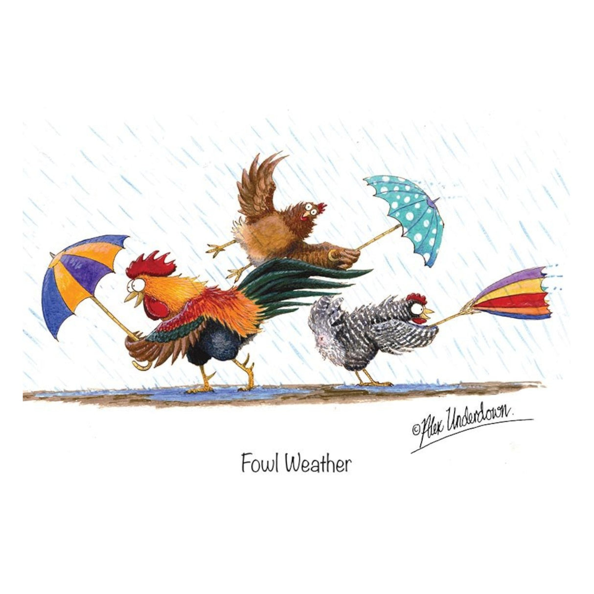 CSP Greetings Cards - Fowl Weather