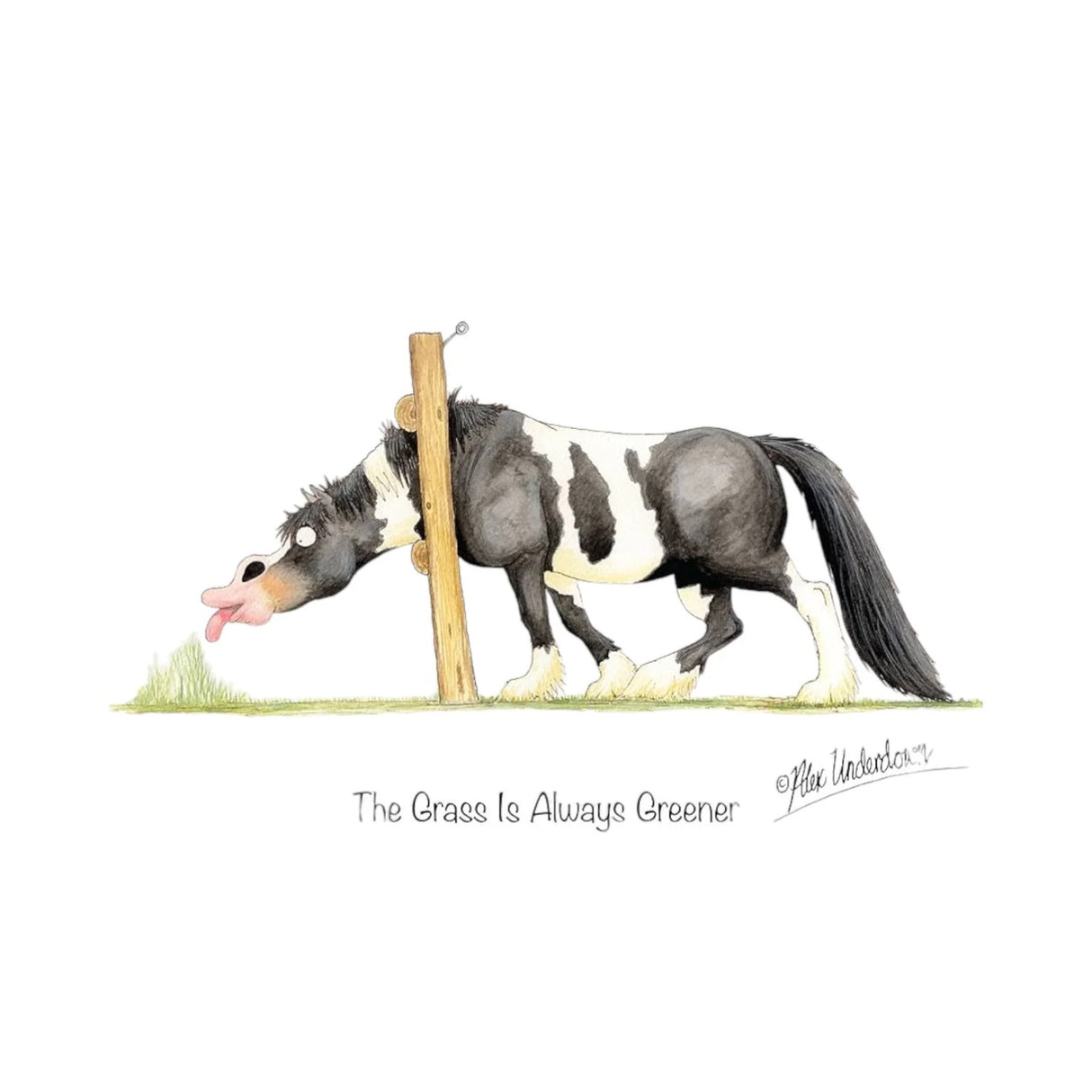 CSP Greetings Cards - The Grass is Always Greener