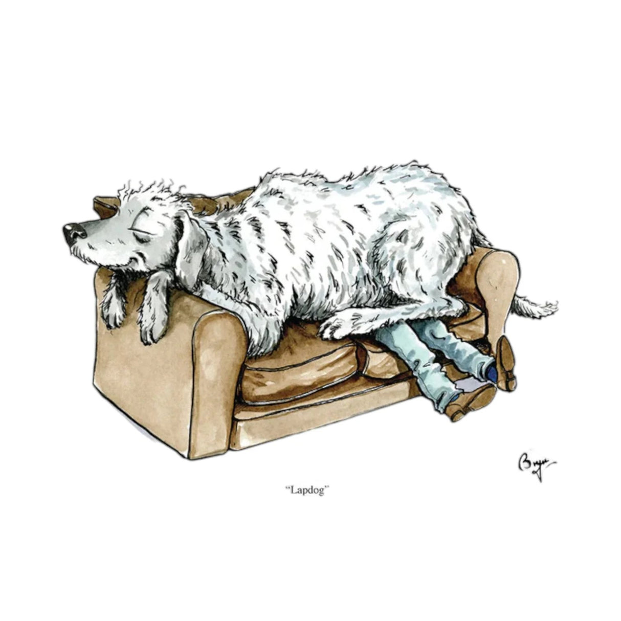 CSP Greetings Cards - Lapdog