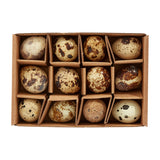 Cacklebean - Quails Eggs x 12