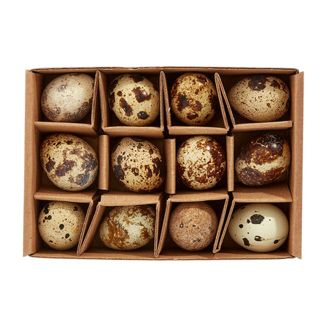 Cacklebean - Quails Eggs x 12