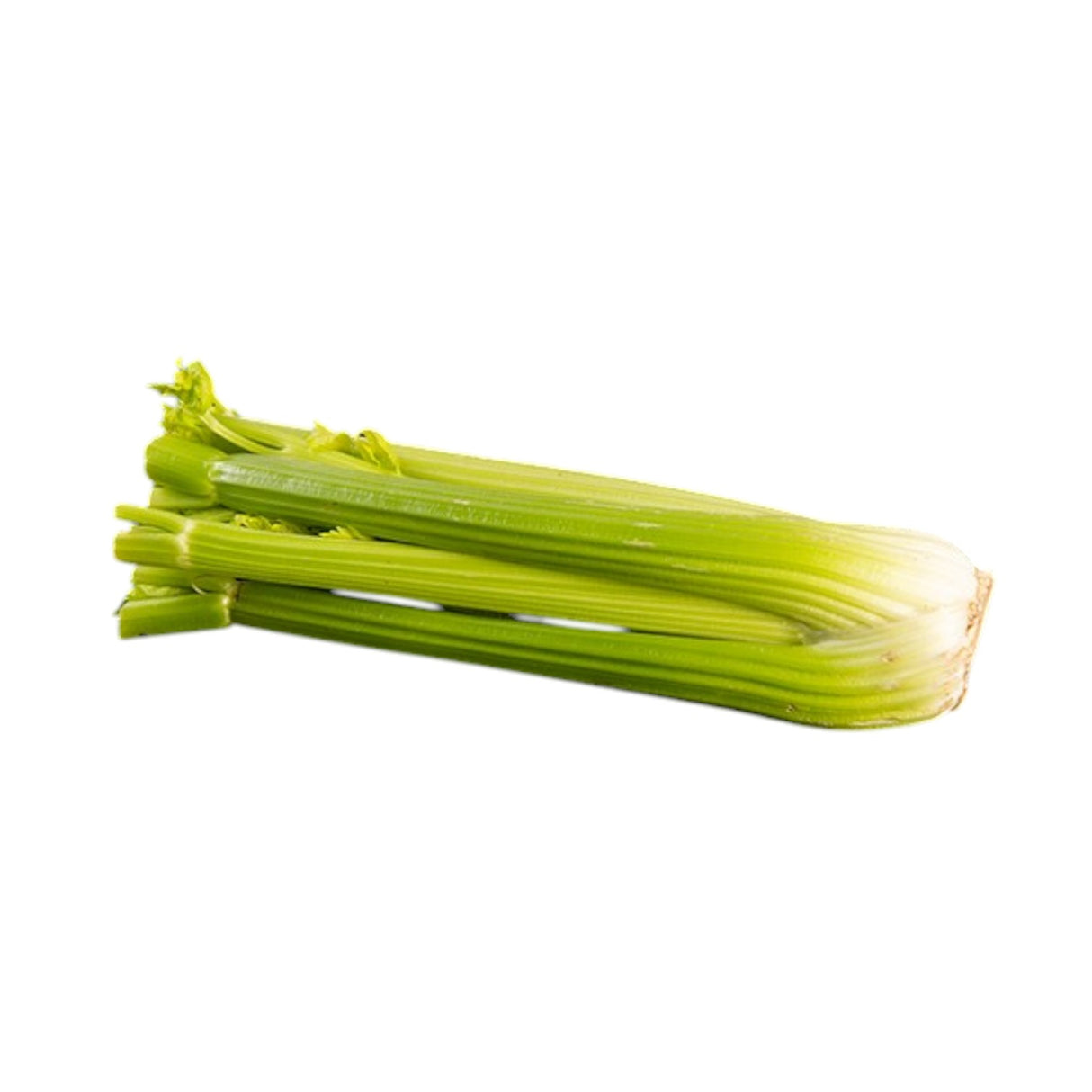 Celery