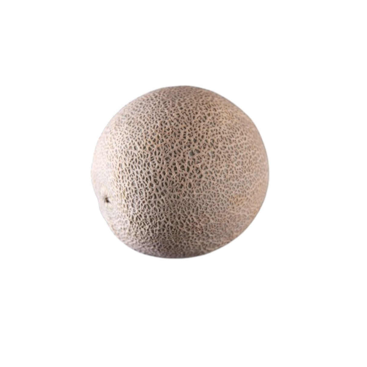Melon - Canteloupe