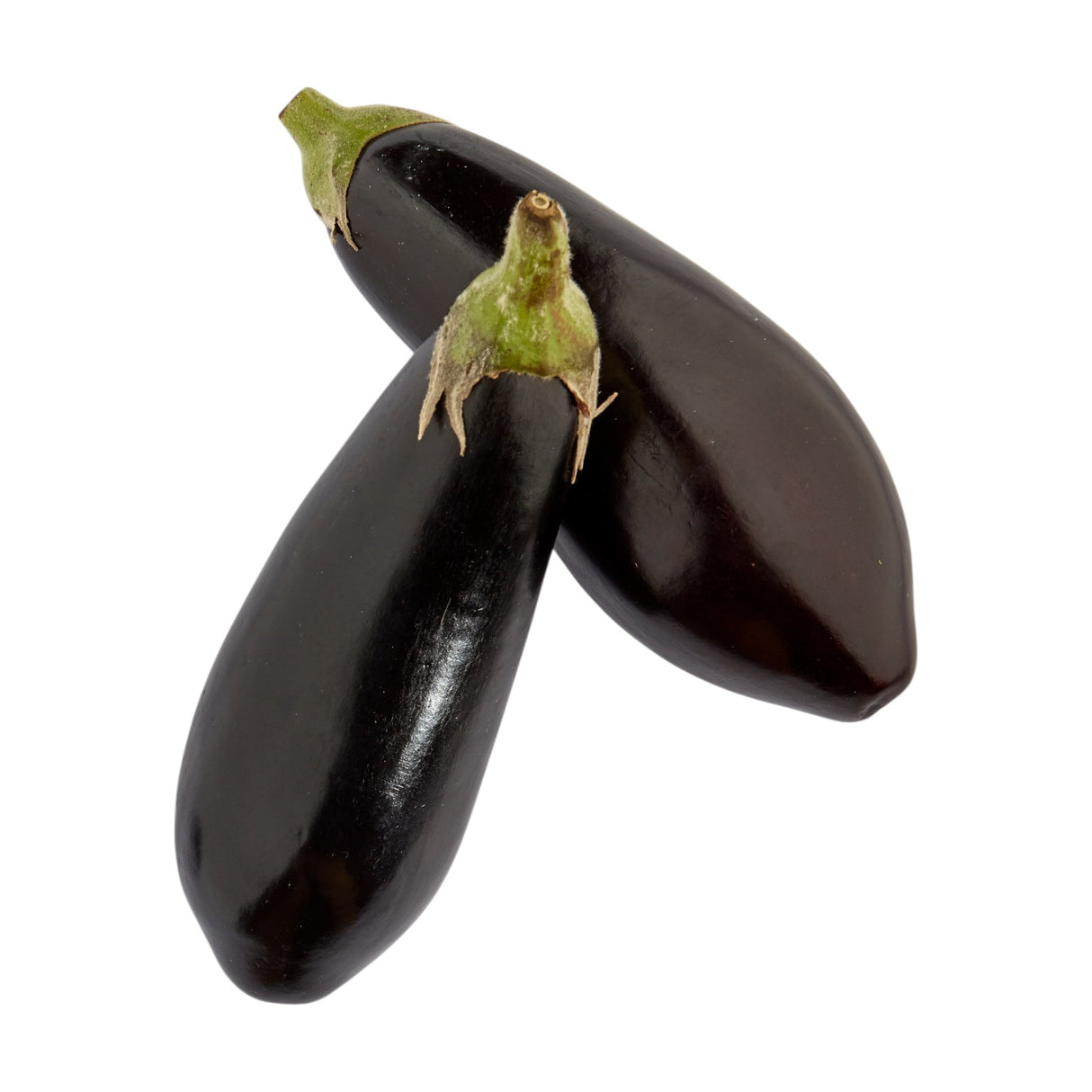 Aubergine