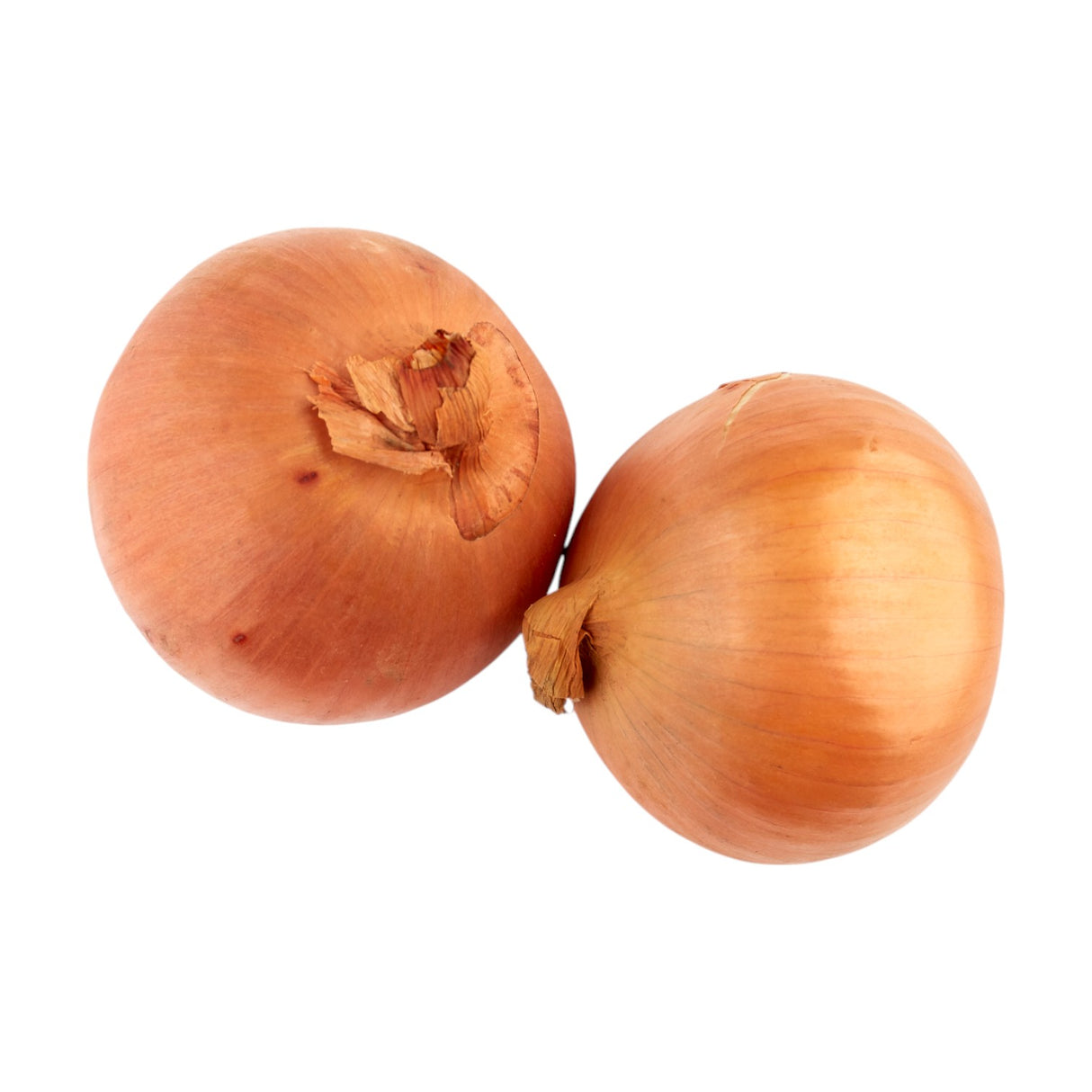Onions - Brown 60/80mm