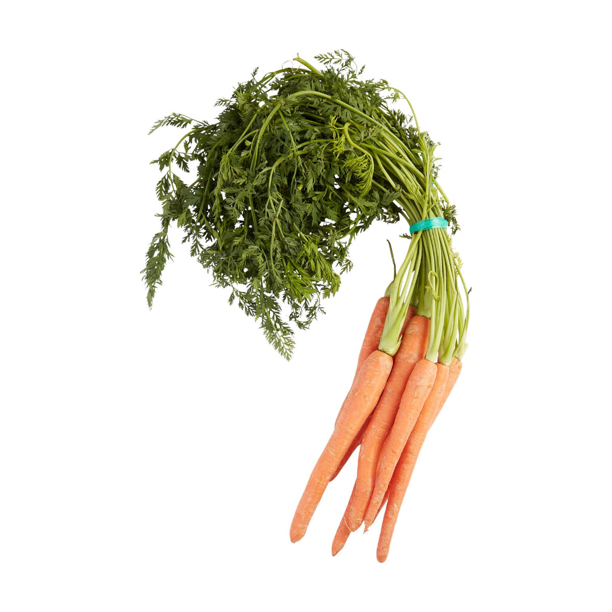 Carrots - Bunched