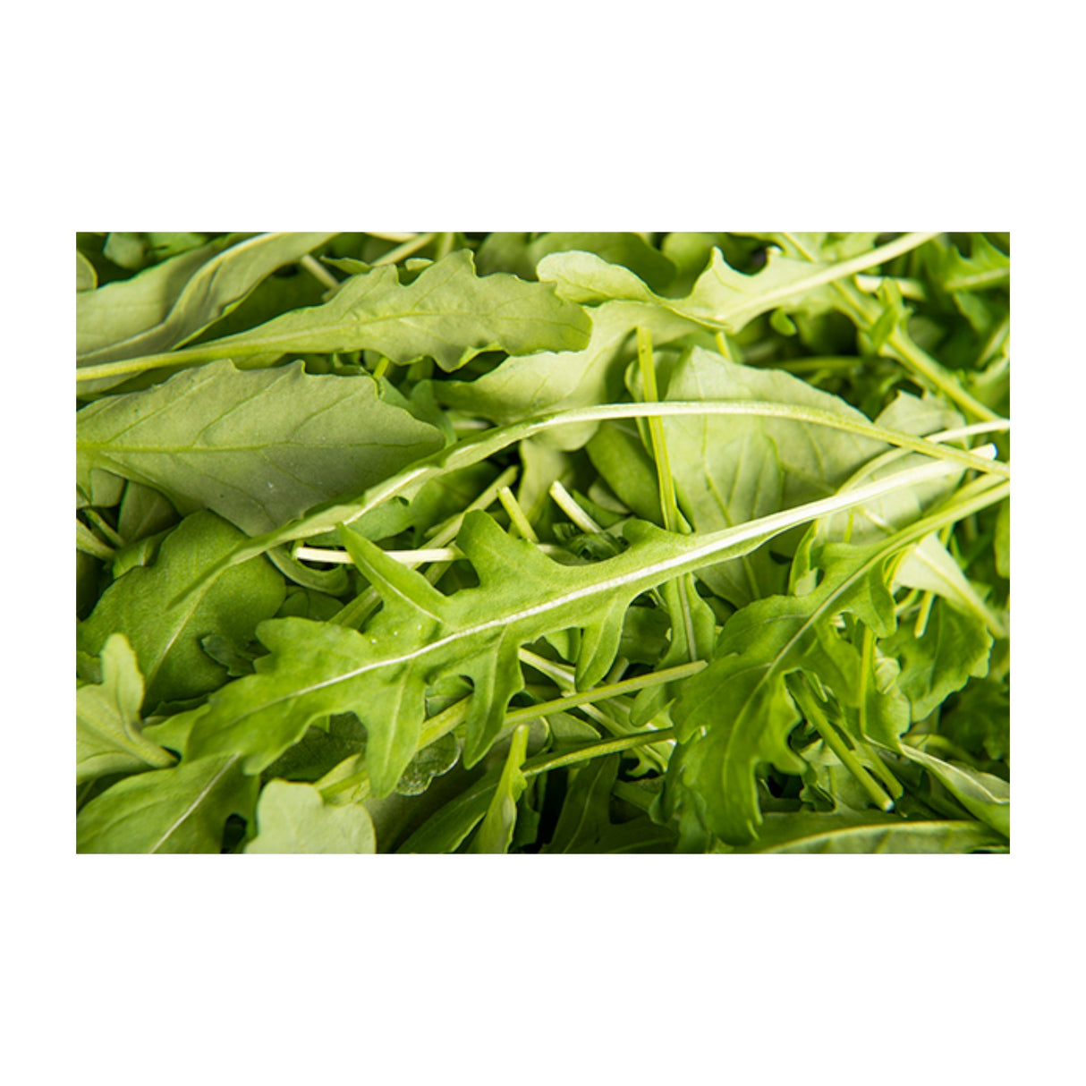 Lettuce - Rocket Punnet 100g