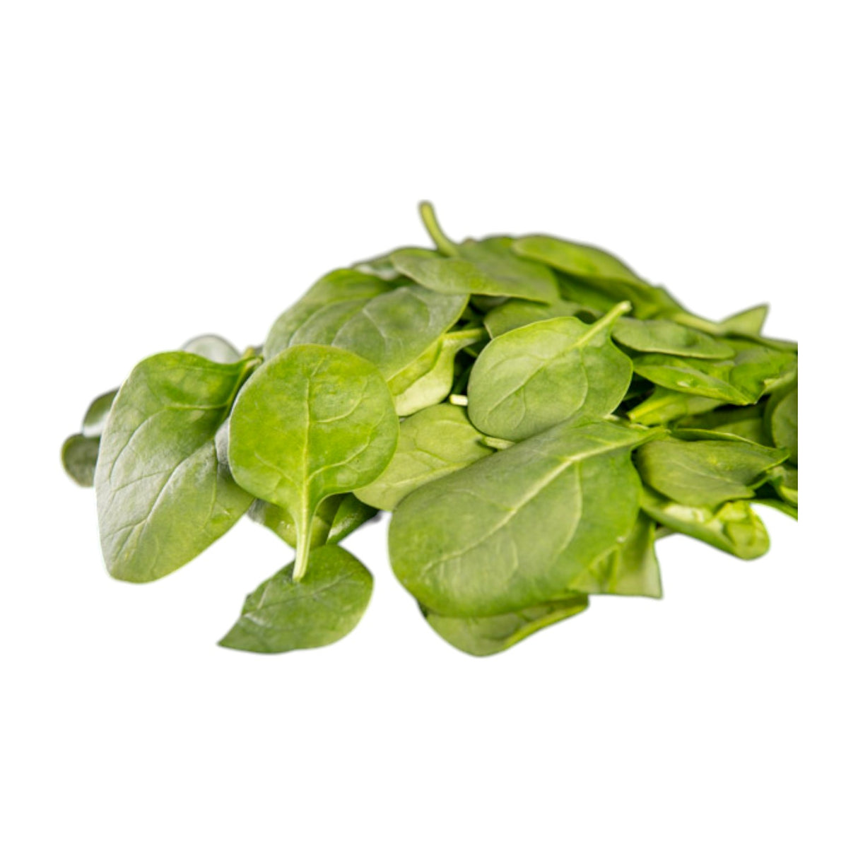 Lettuce - Spinach - Baby Punnet 100g