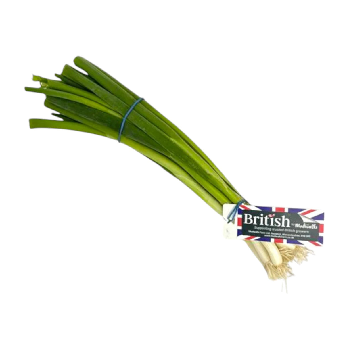 Spring Onions