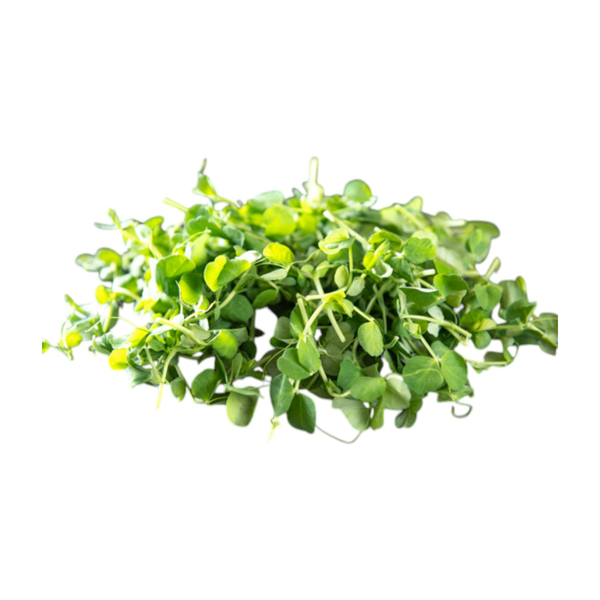 Pea Shoots Punnet 100g