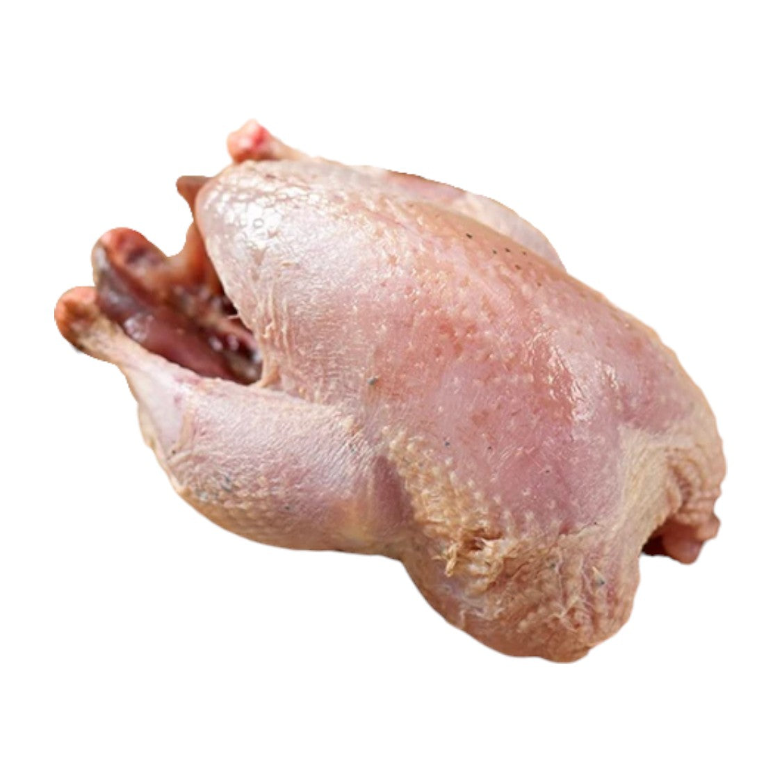Willo Game - Whole Oven Ready Partridge (250g)