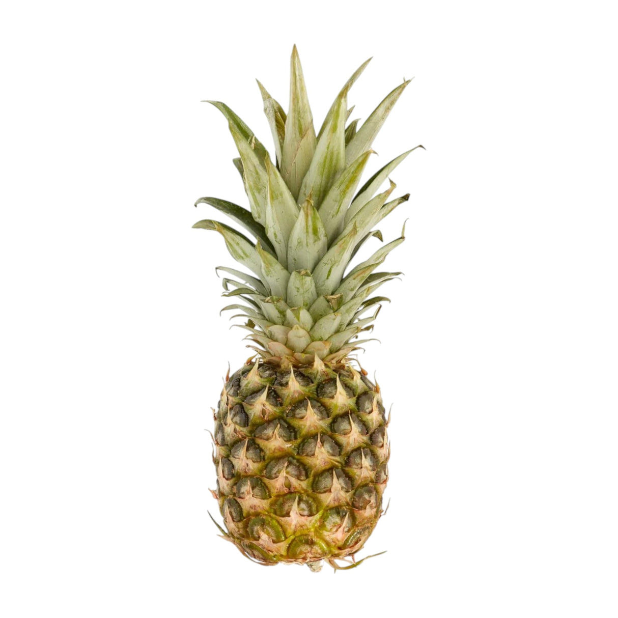 Pineapple - Large