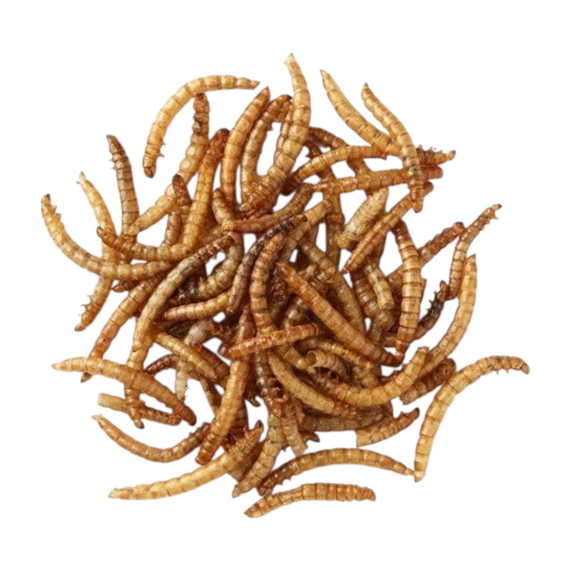 Su Bridge - Extra Select Mealworms (1ltr)