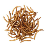 Su Bridge - Extra Select Mealworms (1ltr)