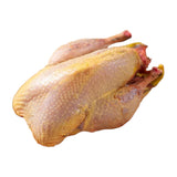 Willo Game - Whole Oven Ready Pheasant (800g)