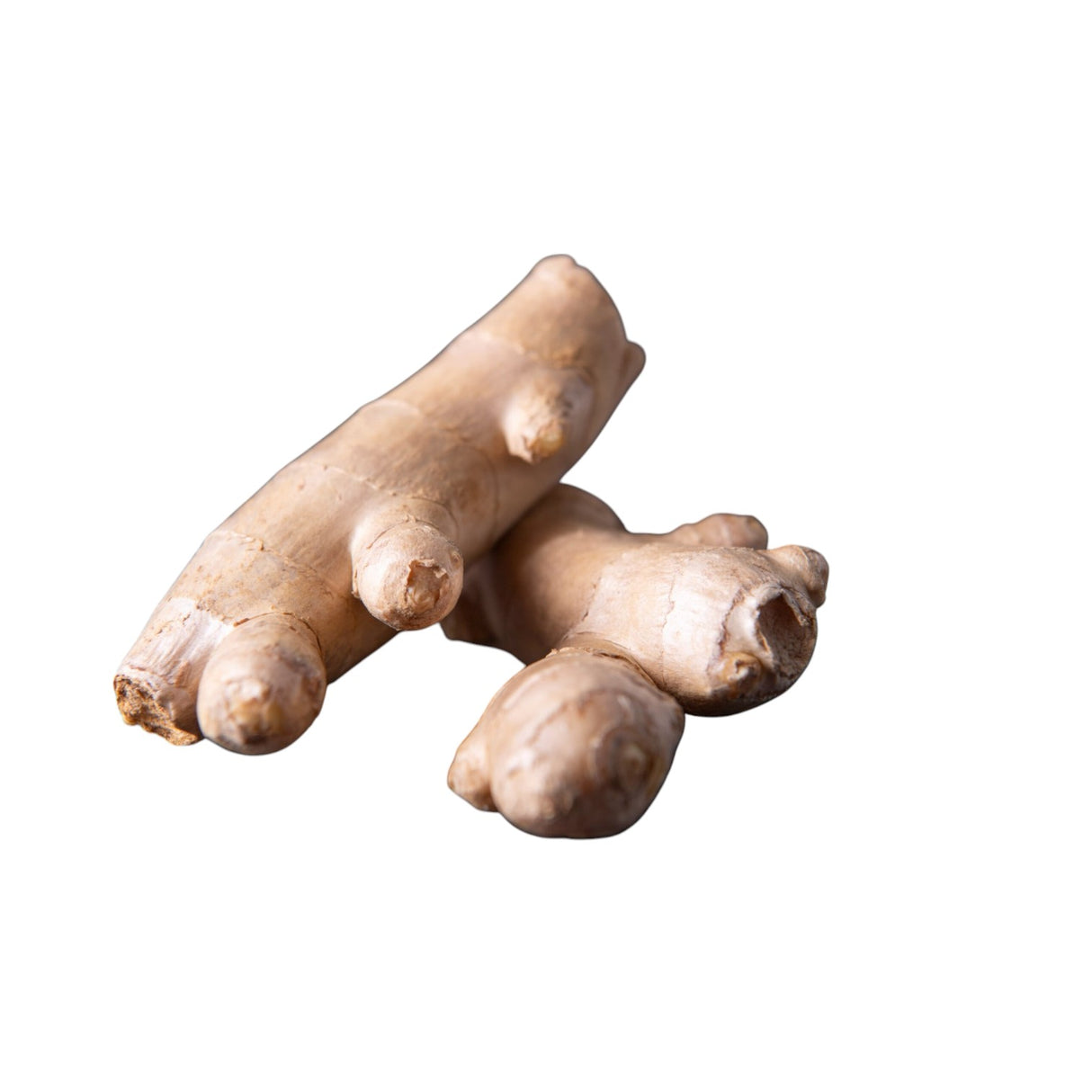 Ginger Fresh